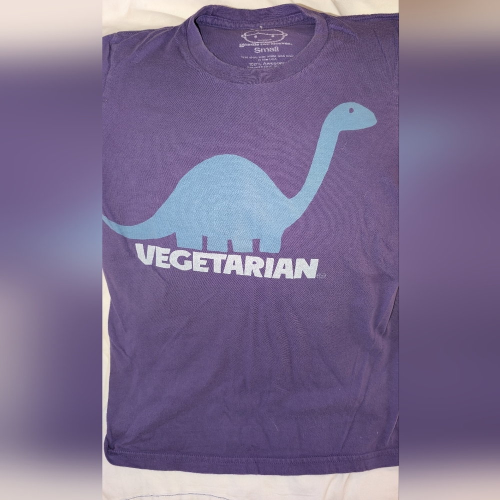 Kids Vegetarian Purple Dinosaur Graphic T-Shirt Size Small